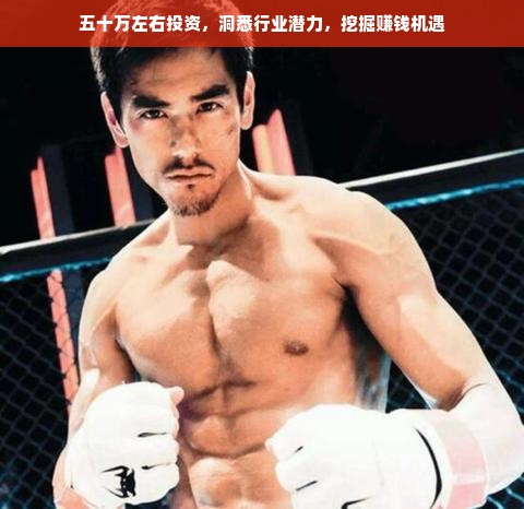 五十万左右投资，洞悉行业潜力，挖掘赚钱机遇