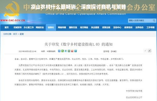京东白条收钱以后如何提现？详解步骤与注意事项