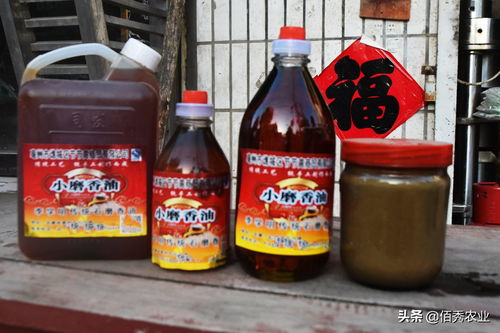 孙海洋的商业历程，探索他的生意之道与财富积累