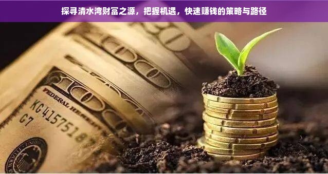 探寻清水湾财富之源，把握机遇，快速赚钱的策略与路径