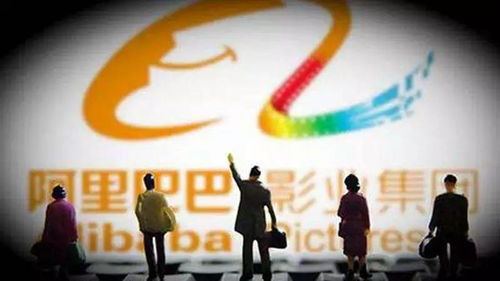 男人养家之道，探索多元化的职业选择与成功之路