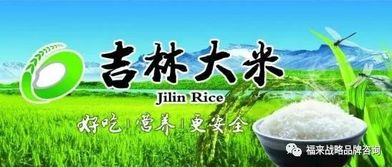 小电冰箱品牌盘点，性价比之选，让你的小家更温馨