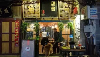 非肉品经济，探索多元化的赚钱之路