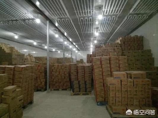 意大利家居品牌沙发