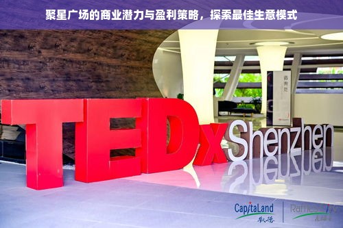 聚星广场的商业潜力与盈利策略，探索最佳生意模式
