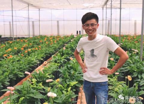 上班族兼职增收之路，多元途径与策略探索