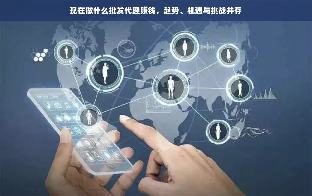 现在做什么批发代理赚钱，趋势、机遇与挑战并存