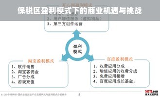 保税区盈利模式下的商业机遇与挑战