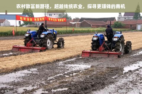 品味盛宴，一场味蕾的狂欢，等你来开启