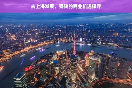 去上海发展，赚钱的商业机遇探寻