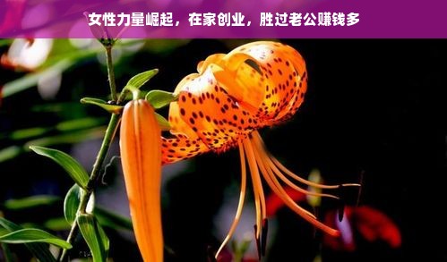 女性力量崛起，在家创业，胜过老公赚钱多