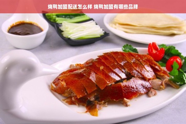 烧鸭加盟配送怎么样 烧鸭加盟有哪些品牌
