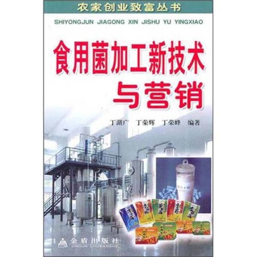 小车间创业致富，探寻高效盈利的项目与策略