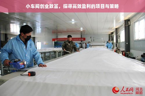 小车间创业致富，探寻高效盈利的项目与策略