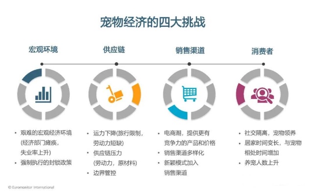 宠物乐园的盈利之道，探索多元化经营策略与赚钱机遇