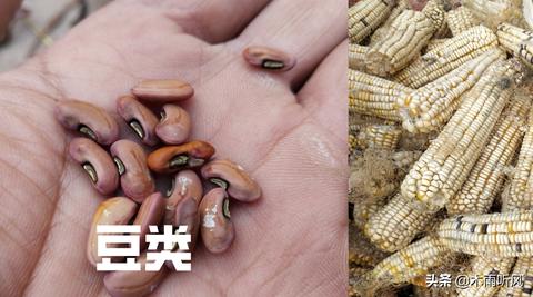 鹿优选额度提现商家设置指南—轻松掌握额度设置技巧