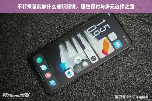 不打疫苗能做什么兼职赚钱，理性探讨与多元选择之路