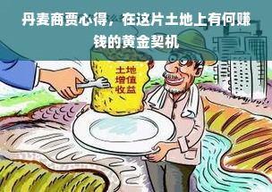 丹麦商贾心得，在这片土地上有何赚钱的黄金契机