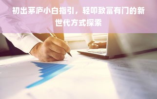 初出茅庐小白指引，轻叩致富有门的新世代方式探索