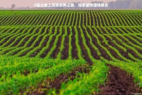 油漆板材工艺品牌大盘点，品质生活从选材开始