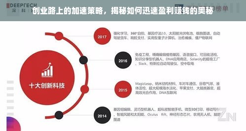 创业路上的加速策略，揭秘如何迅速盈利赚钱的奥秘