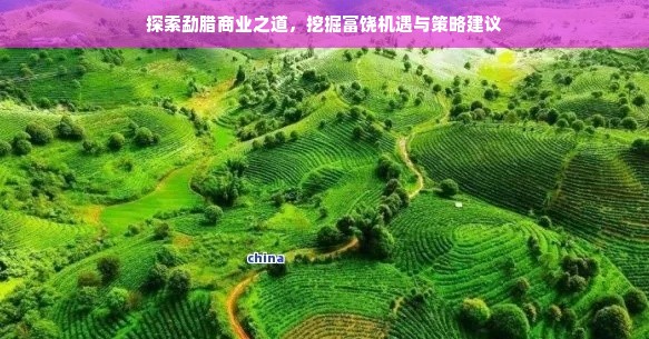 探索勐腊商业之道，挖掘富饶机遇与策略建议
