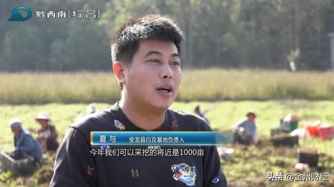 农村小伙的工作选择，多元之路实现财富梦想
