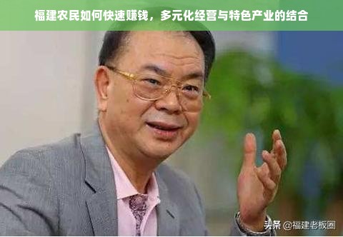 福建农民如何快速赚钱，多元化经营与特色产业的结合