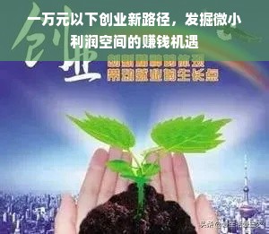 一万元以下创业新路径，发掘微小利润空间的赚钱机遇
