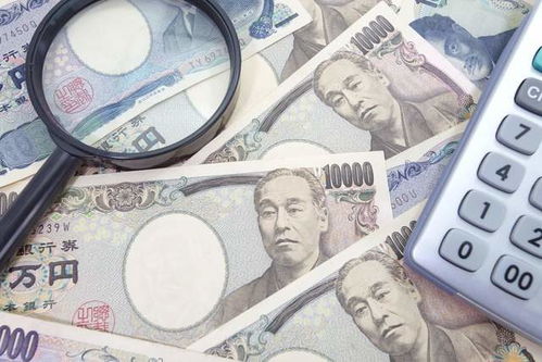美博会母婴品牌深度解析，品质、创新与关爱同行的探索之旅