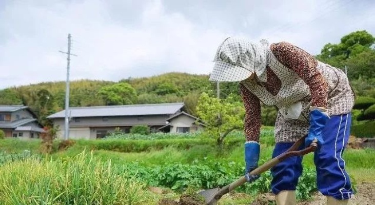 江苏减速机品牌厂家电话大全，选购指南与实用案例分享