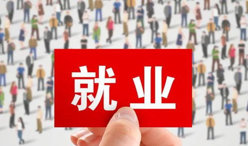 失业率高做什么赚钱，危机中的创新机遇与策略转变