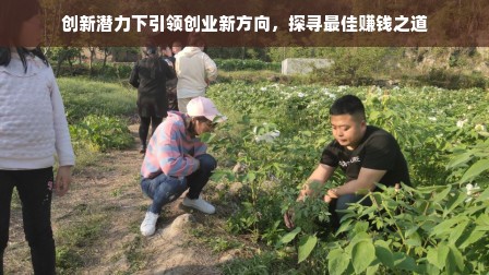 创新潜力下引领创业新方向，探寻最佳赚钱之道