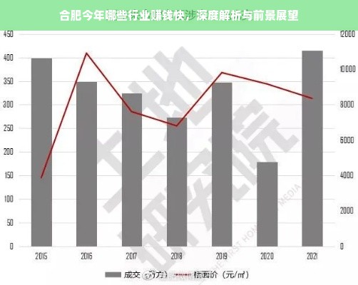 合肥今年哪些行业赚钱快，深度解析与前景展望