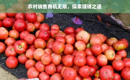 盘点墙面油漆花色品牌，让你的家焕然一新！