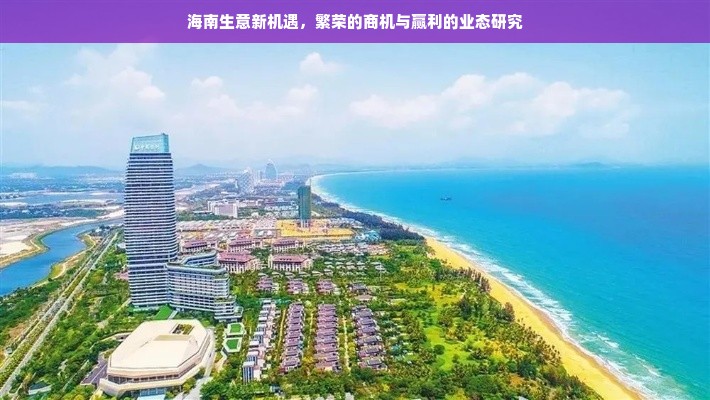 海南生意新机遇，繁荣的商机与赢利的业态研究