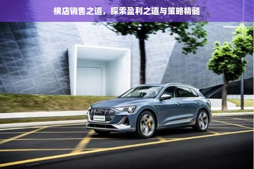 横店销售之道，探索盈利之道与策略精髓