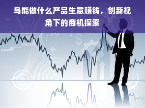 鸟能做什么产品生意赚钱，创新视角下的商机探索
