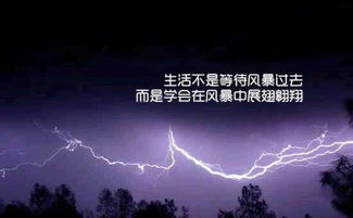 五零衍繁如云始富的梦想探讨——“为你所带来的机遇与挑战找寻最佳财富增值路径”