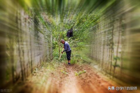 农村创业新机遇，探究热门技术与赚钱之道