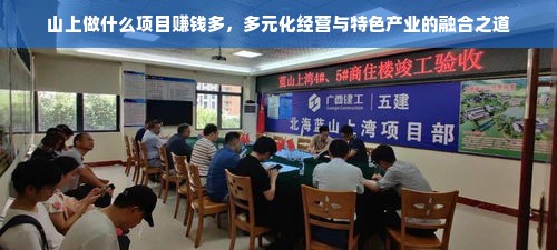 羊小咩便荔卡额度怎么套出来?羊小咩便荔卡额度冻结