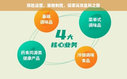 保险运营，策略制胜，探索高效盈利之路