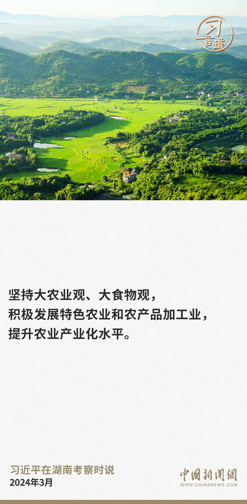 新宝来油漆品牌评测，品质与口碑双丰收