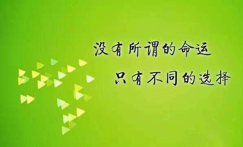 自由之魂，我在闲之余居何事兼职所想赚钱财不为工而已后浪漫繁荣之路