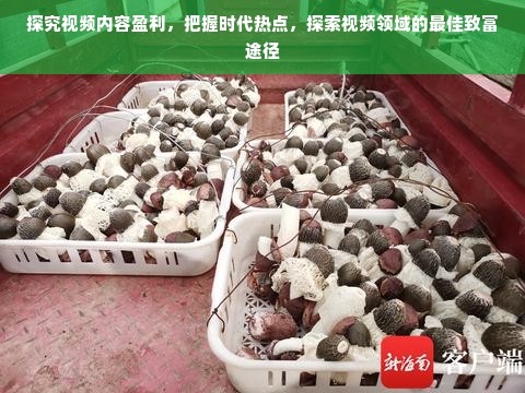 国风童装平价品牌盘点，穿出传统文化，不贵也能美美哒！