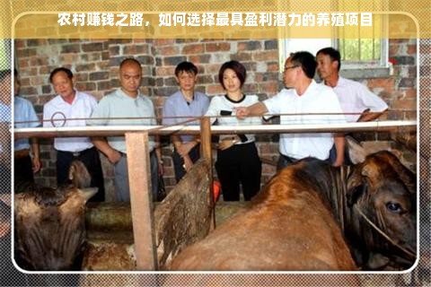 抖音白酒品牌库入库攻略，如何让你的白酒品牌在抖音上脱颖而出