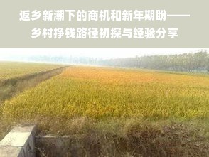 返乡新潮下的商机和新年期盼——乡村挣钱路径初探与经验分享