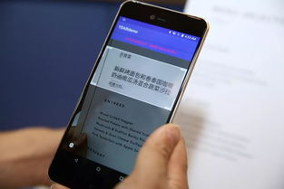 干洗店品牌鞋收费揭秘，价格构成与案例分析