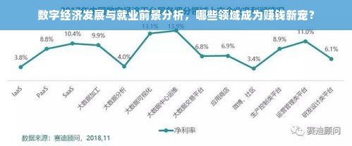 数字经济发展与就业前景分析，哪些领域成为赚钱新宠？