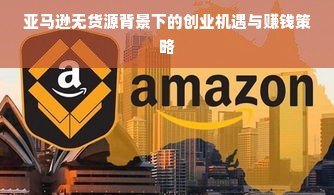 亚马逊无货源背景下的创业机遇与赚钱策略